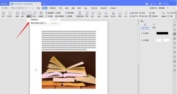 Word文字技巧—Word文档怎么截图