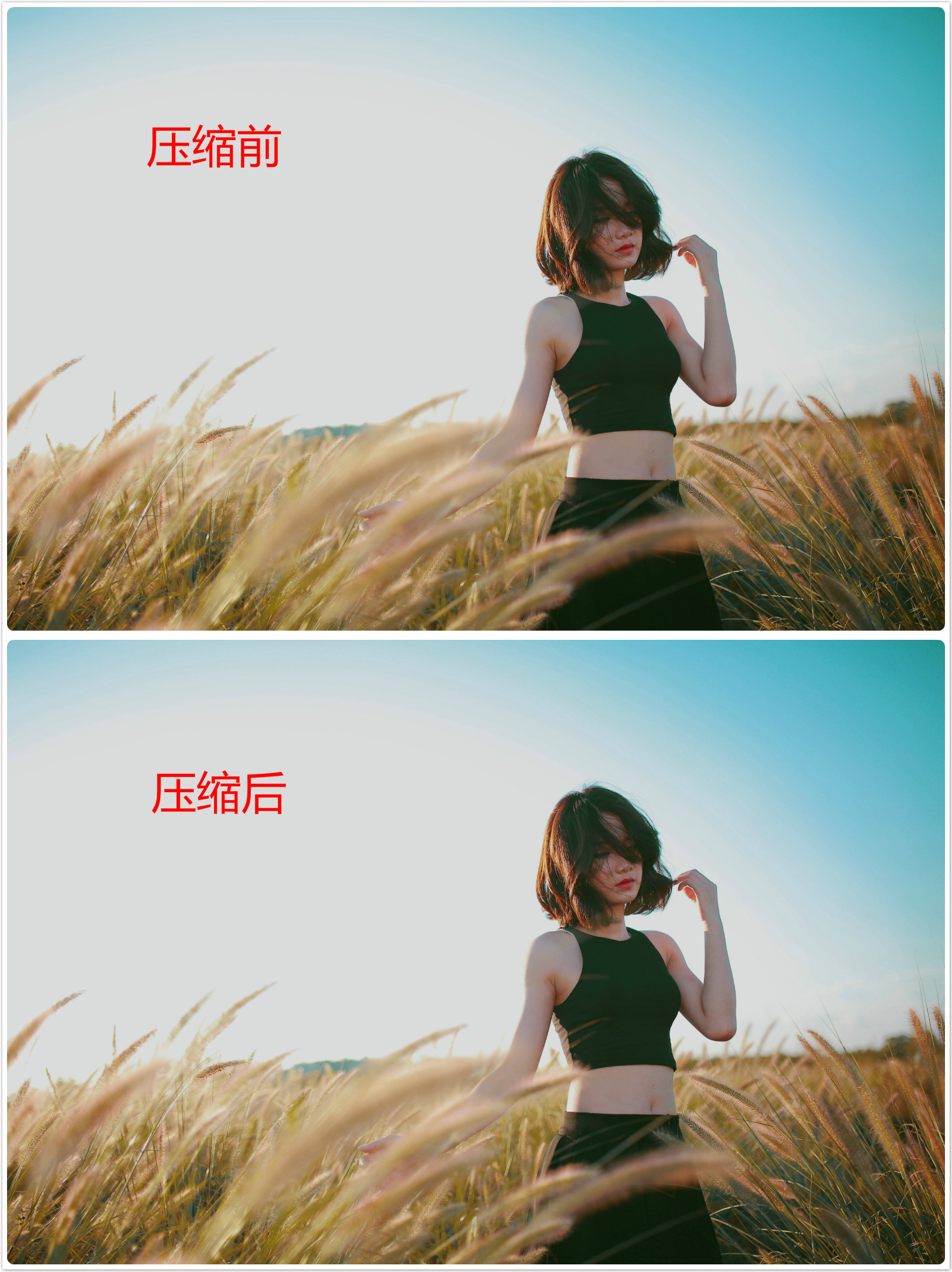 我的妈呀,Excel居然还能压缩图片大小?这波操作未免太骚太强了