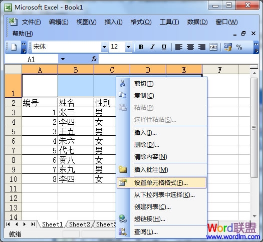 设置单元格格式