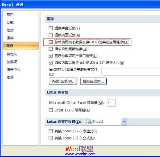 忽略使用动态数据交换(DDE)的其他应用程序去掉勾