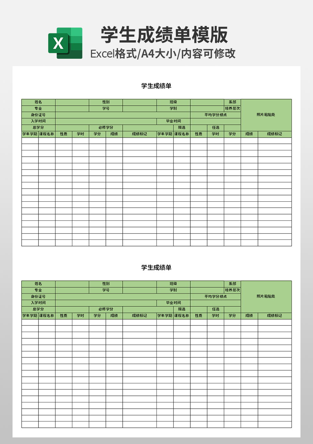 学校学生成绩单excel模板