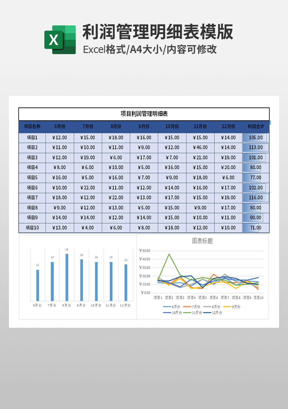 项目利润管理明细表模板